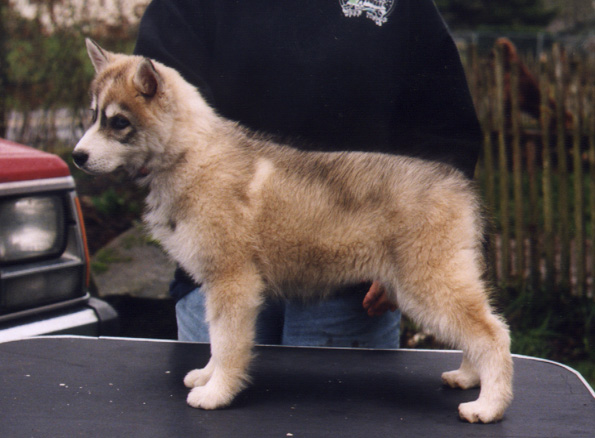 h29wks.JPG (93638 bytes)