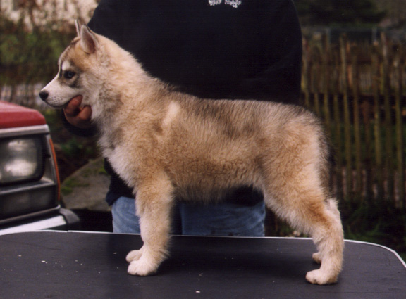 h9wks.JPG (85948 bytes)